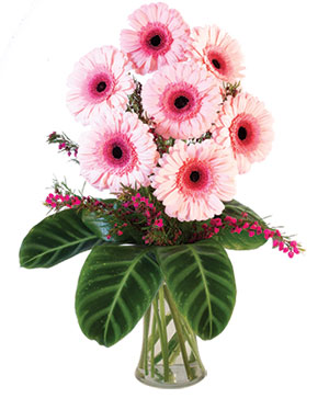 Lucky Seven Gerberas Floral Design