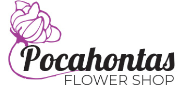 Homepage